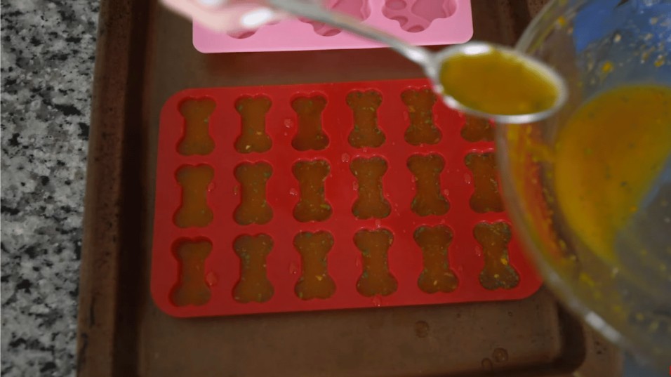 Homemade Dog-Friendly Gelatin Treats