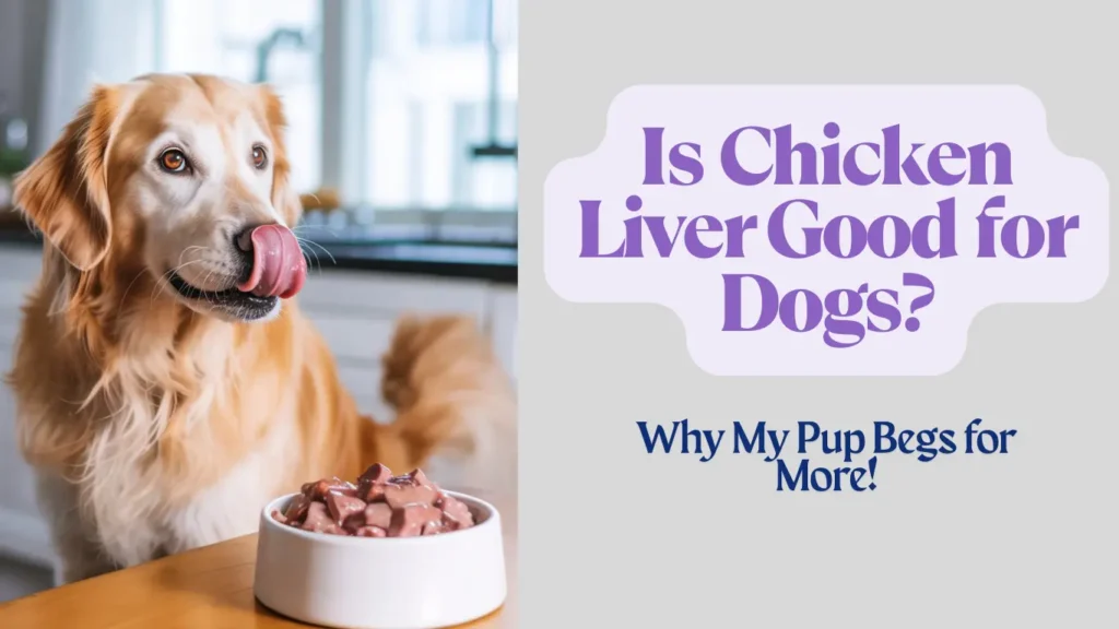 is chicken liver good for dogs