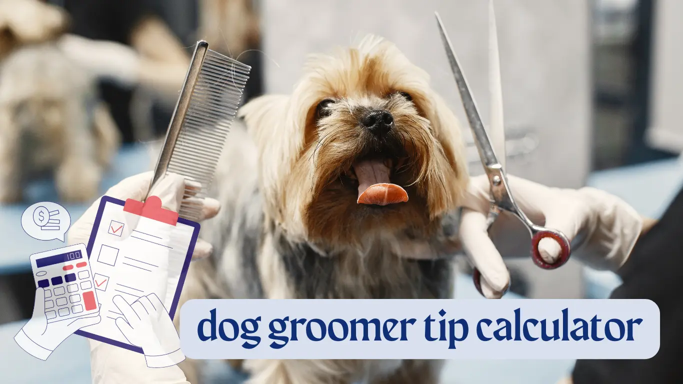 Image showcasing Dog Groomer Tip Calculator: Find Fair Amounts in Seconds