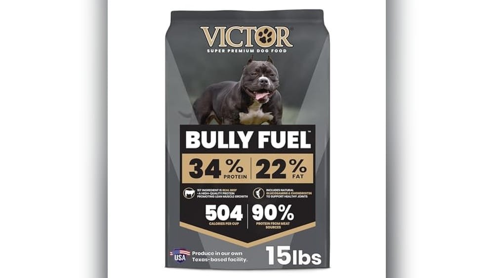 Best Dog Food for American Bully With Skin Allergies