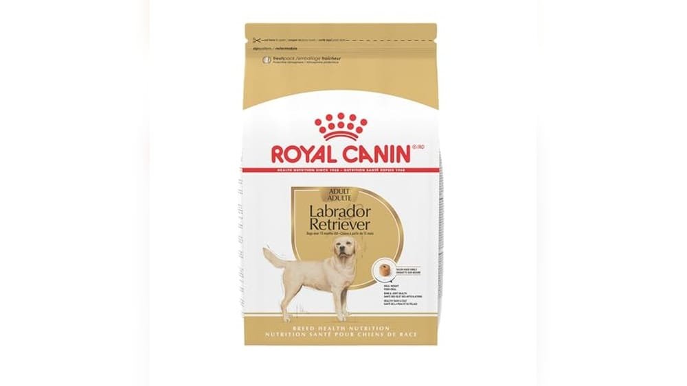 Best Dog Food for Labradors With Allergies