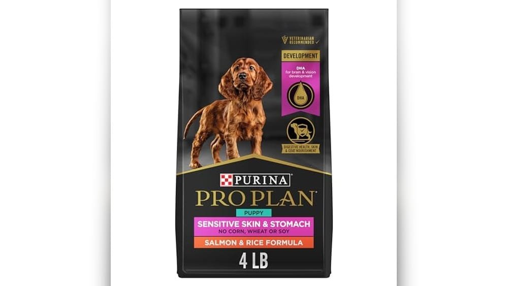 Best Dog Food for Puppies With Allergies