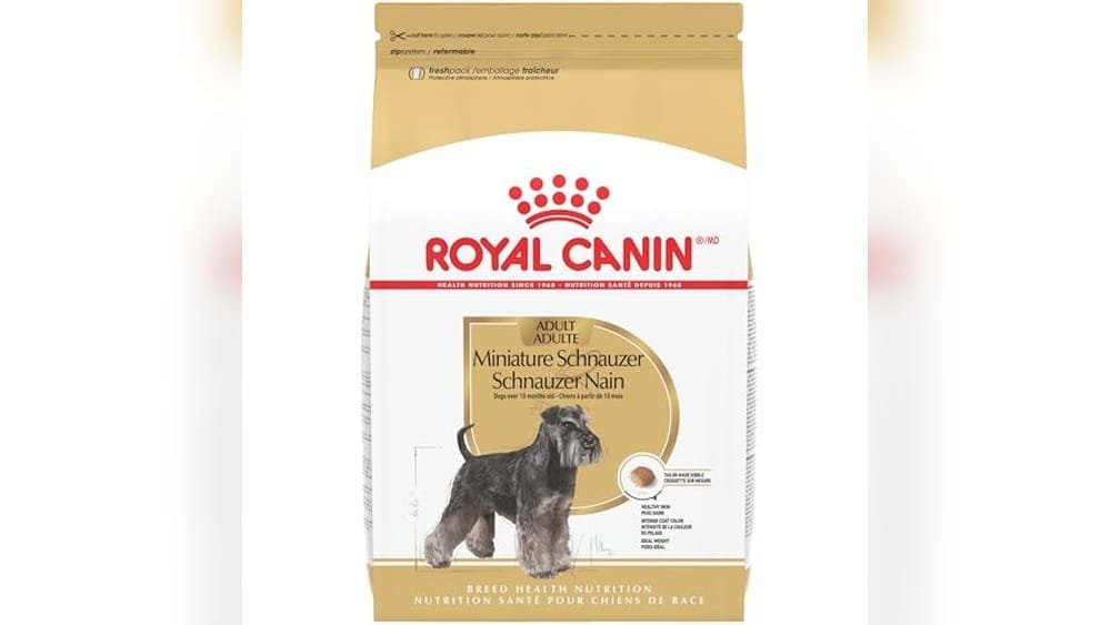 Best Dog Food for Schnauzer With Skin Allergies