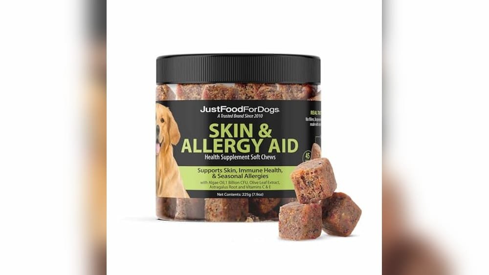 Best Dog Food for Seasonal Allergies