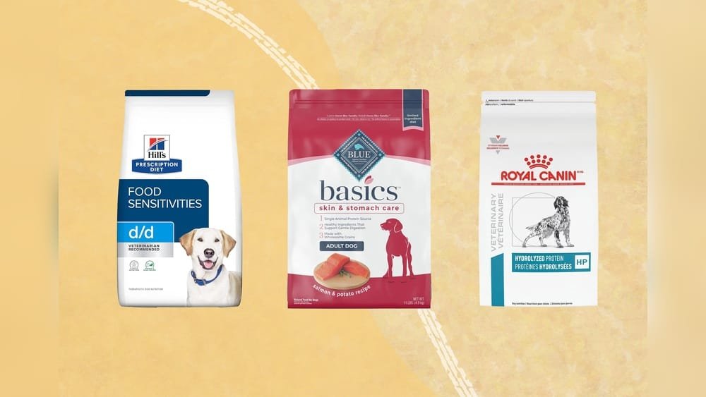 What is the Best Dog Food for Allergies