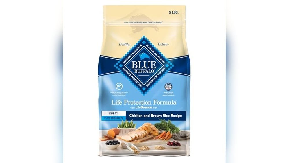 Best Dog Food for 5 Month Old Puppy