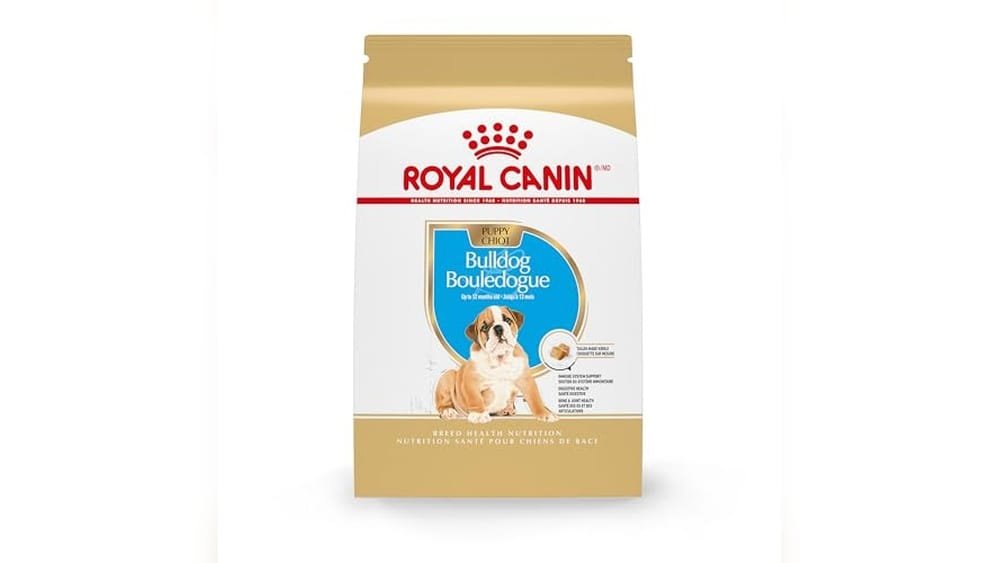 Best Dog Food for English Bulldog Puppies