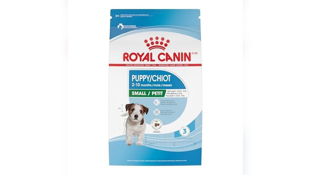 Best Dog Food for Havanese Puppies