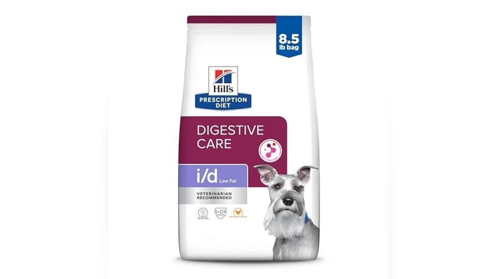 Best Dog Food for Pancreatitis
