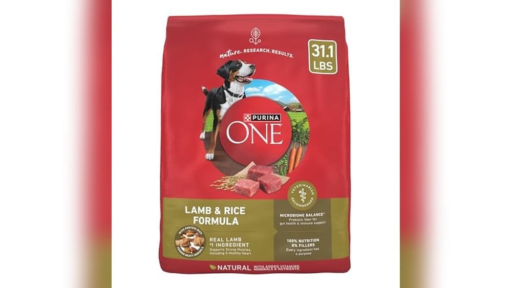 Best Dry Dog Food at Petsmart