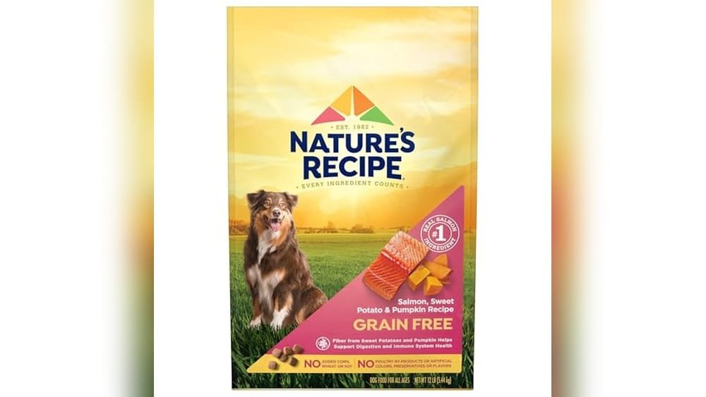 Best Dry Dog Food for Allergies