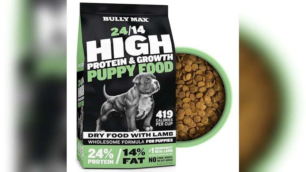 Best Dry Dog Food for American Bully Puppy