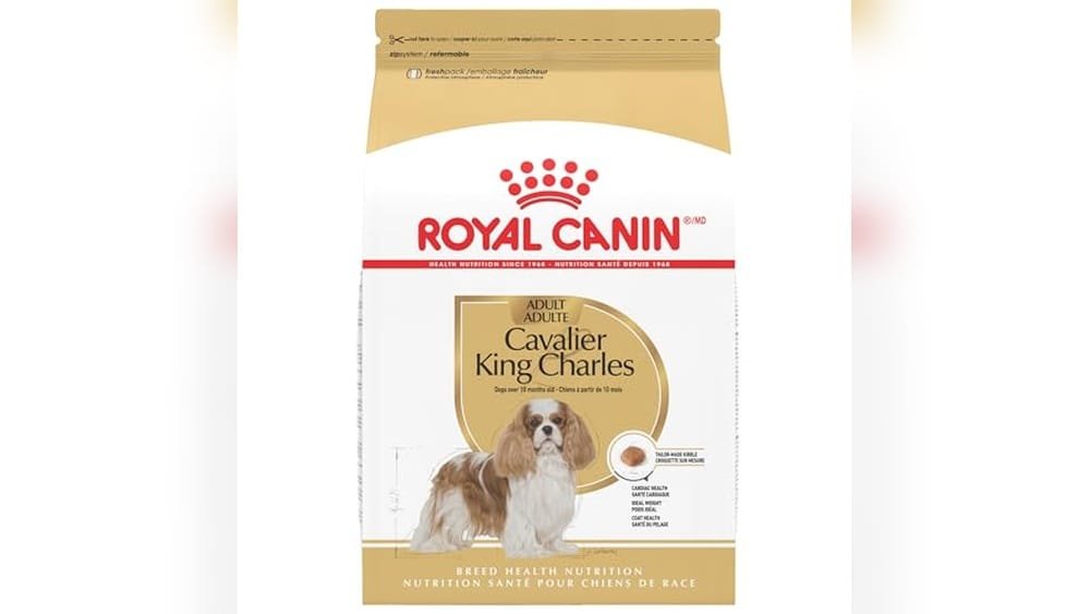 Best Dry Dog Food for Cavalier King Charles Spaniel