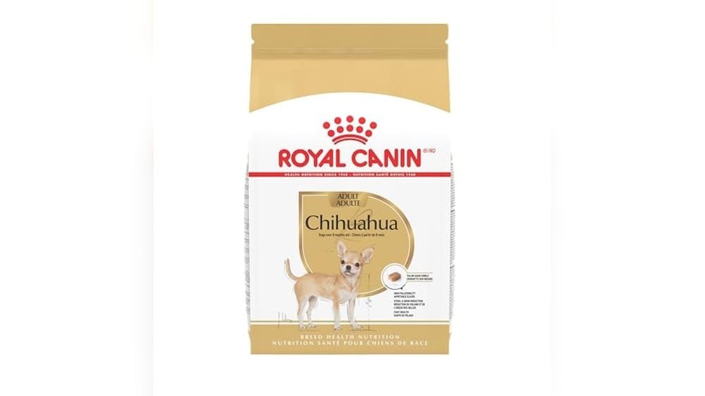 Best Dry Dog Food for Chihuahuas