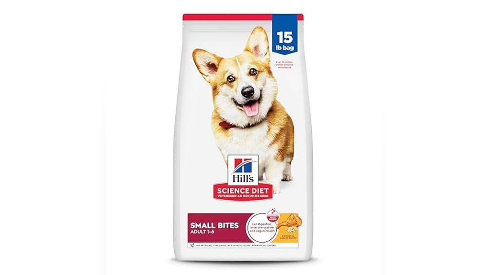 Best Dry Dog Food for Corgis