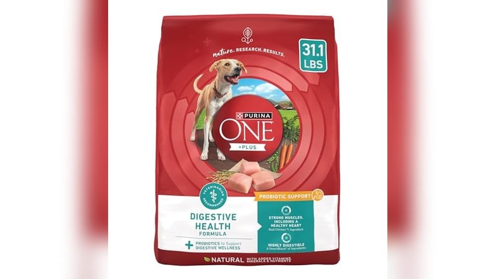 Best Dry Dog Food for Digestive Problems
