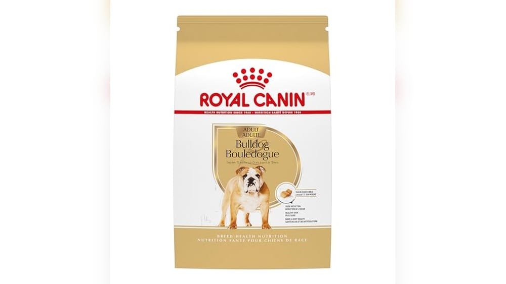 Best Dry Dog Food for English Bulldogs