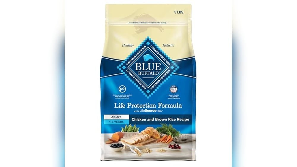 Best Dry Dog Food for Finicky Eaters