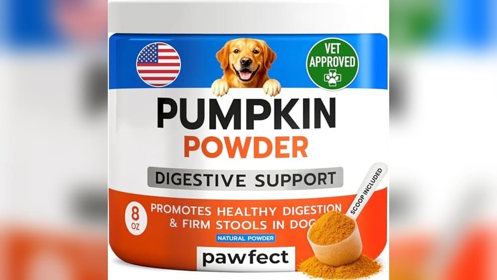 Best Dry Dog Food for Firm Stools