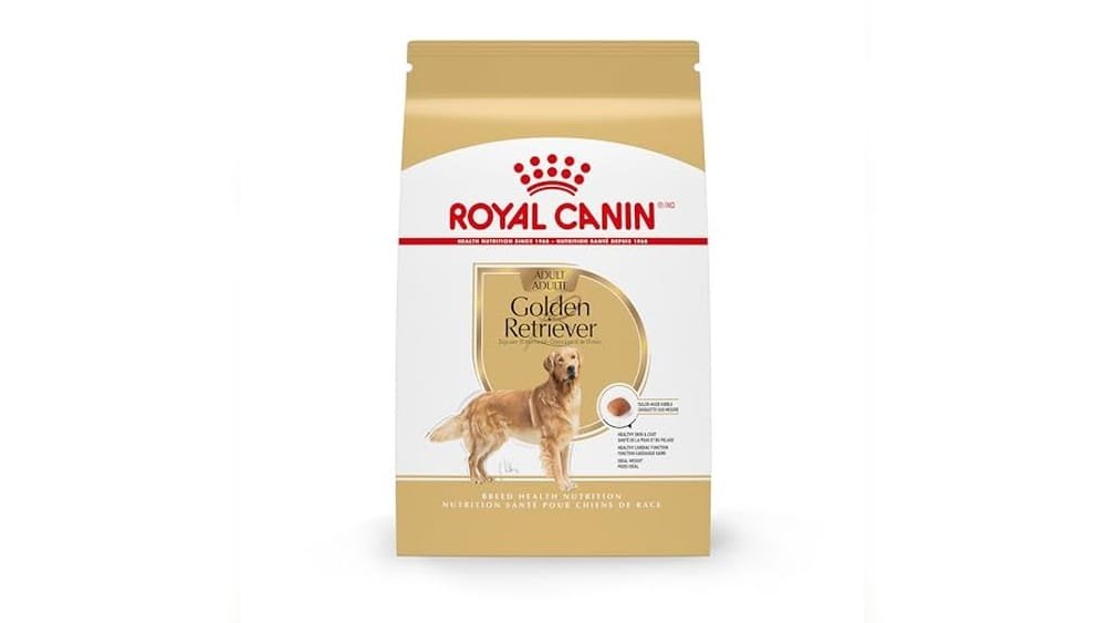 Best Dry Dog Food for Golden Retrievers