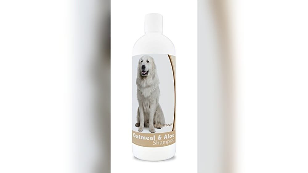 Best Dry Dog Food for Great Pyrenees