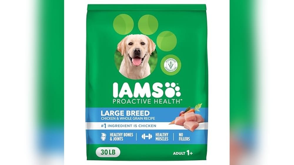 Best Dry Dog Food for Large Breed Dogs