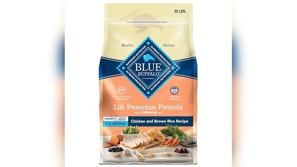 Best Dry Dog Food for Large Breed Puppies