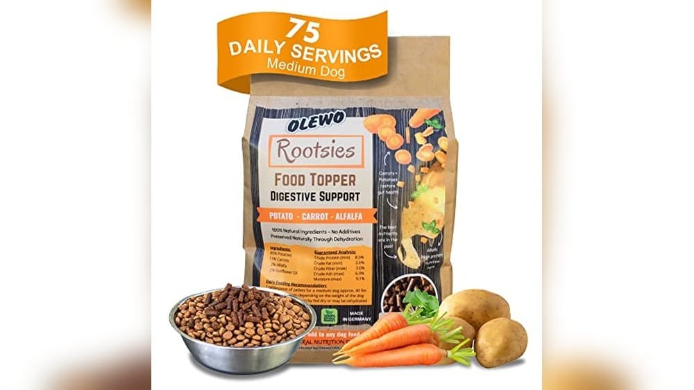 Best Dry Dog Food for Loose Stools