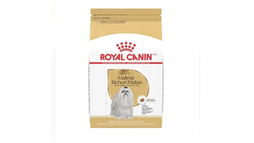 Best Dry Dog Food for Maltese