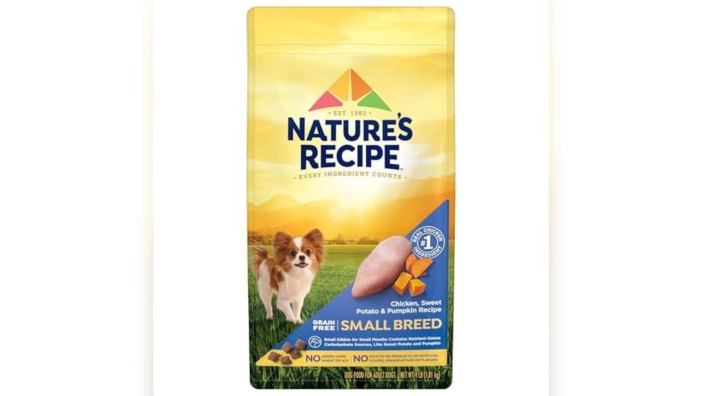 Best Dry Dog Food for Maltipoo