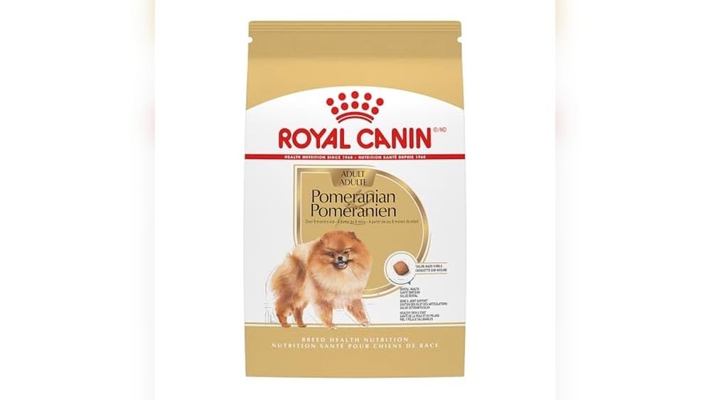 Best Dry Dog Food for Pomeranians