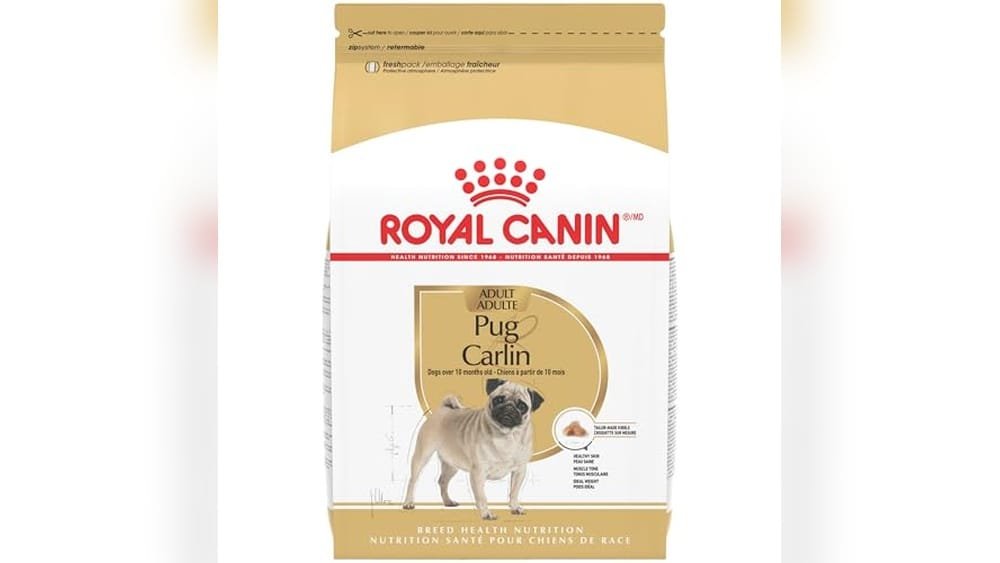 Best Dry Dog Food for Pugs
