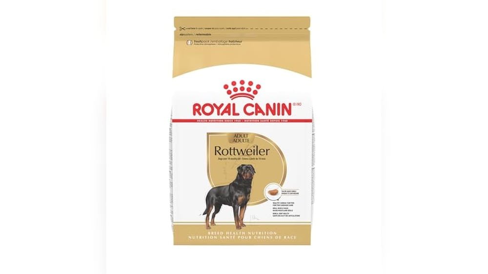Best Dry Dog Food for Rottweilers