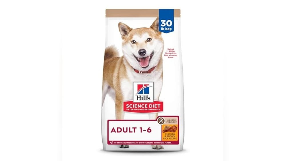 Best Dry Dog Food for Shiba Inu