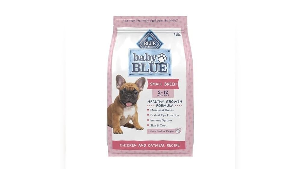 Best Dry Dog Food for Small Breed Puppies