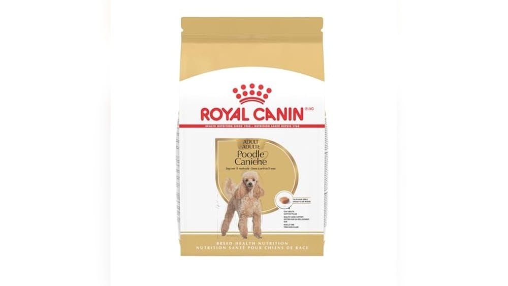 Best Dry Dog Food for Standard Poodles