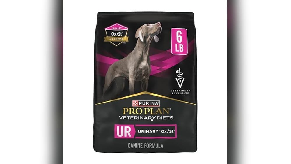 Best Dry Dog Food for Urinary Health