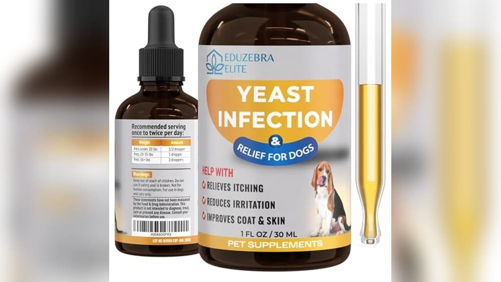 Best Dry Dog Food for Yeast Infections