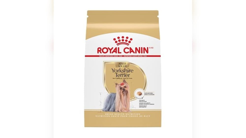 Best Dry Dog Food for Yorkies