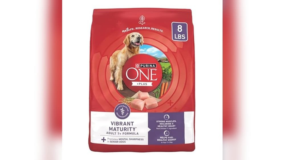 Best Dry Dog Food Senior