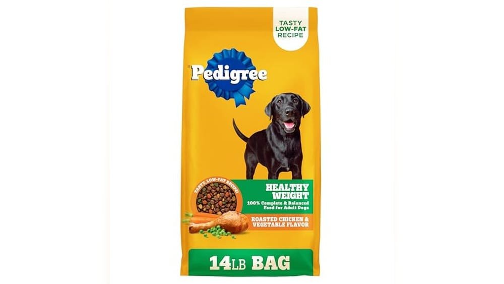 Best Dry Dog Food to Stop Flatulence