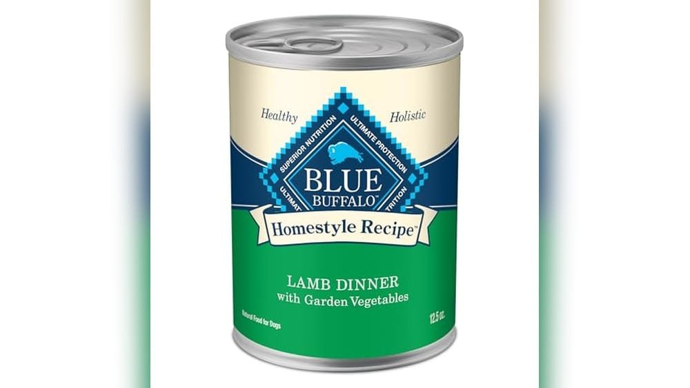 Best Lamb Wet Dog Food