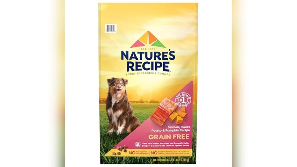 Best Limited Ingredient Dry Dog Food
