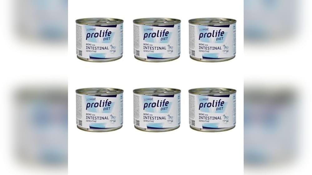 Best Non Prescription Low Fat Wet Dog Food