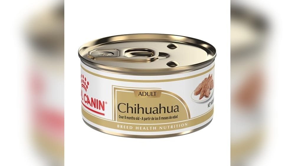 Best Wet Dog Food for Chihuahua