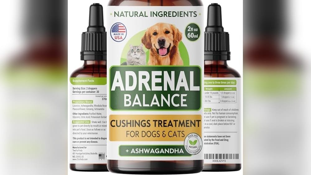 Best Wet Dog Food for Cushing'S Disease