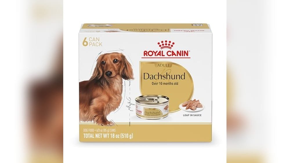 Best Wet Dog Food for Dachshunds