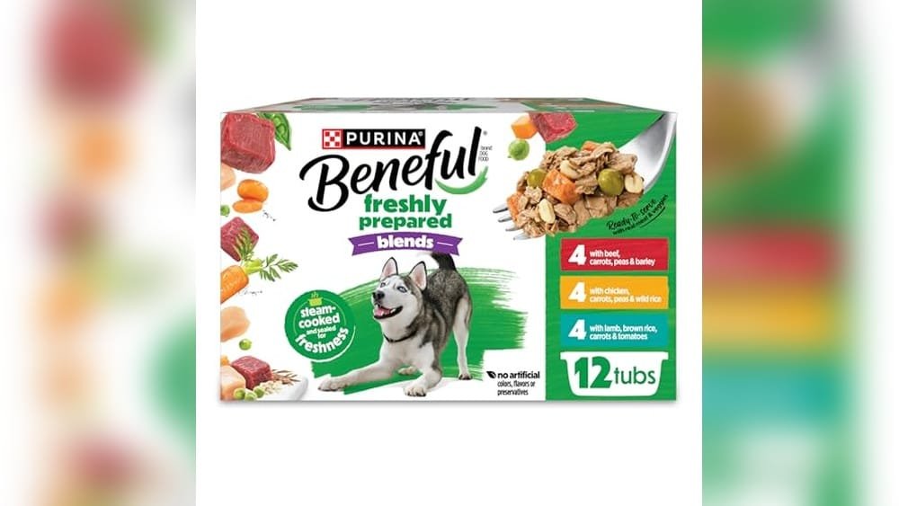 Best Wet Dog Food for Diabetic Dogs