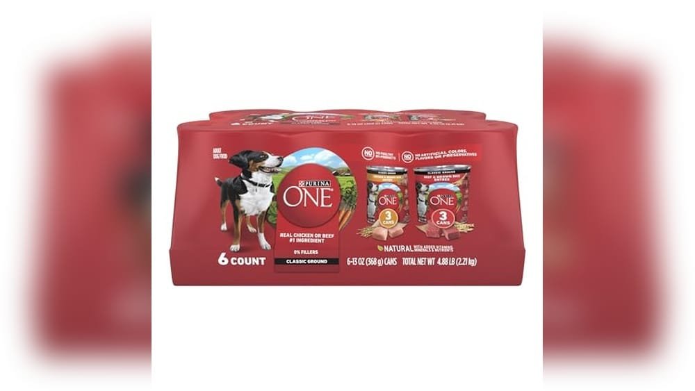 Best Wet Dog Food for Huskies