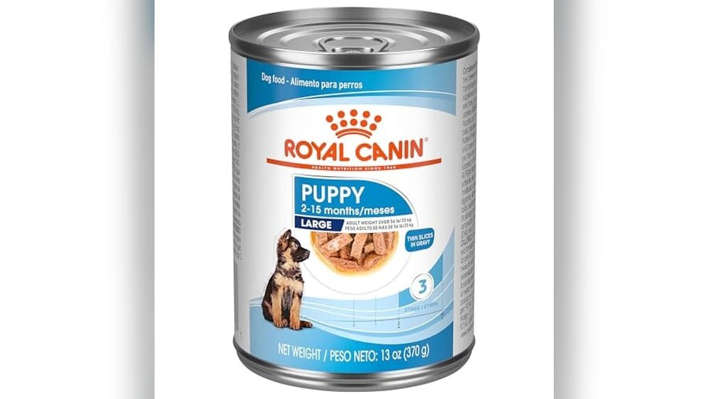 Best Wet Dog Food for Large Breed Puppies